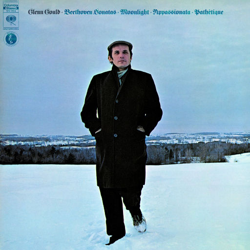 少妇被插入狂C下部❌羞羞视频
